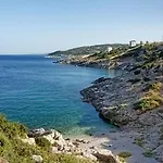 Avgi Willa